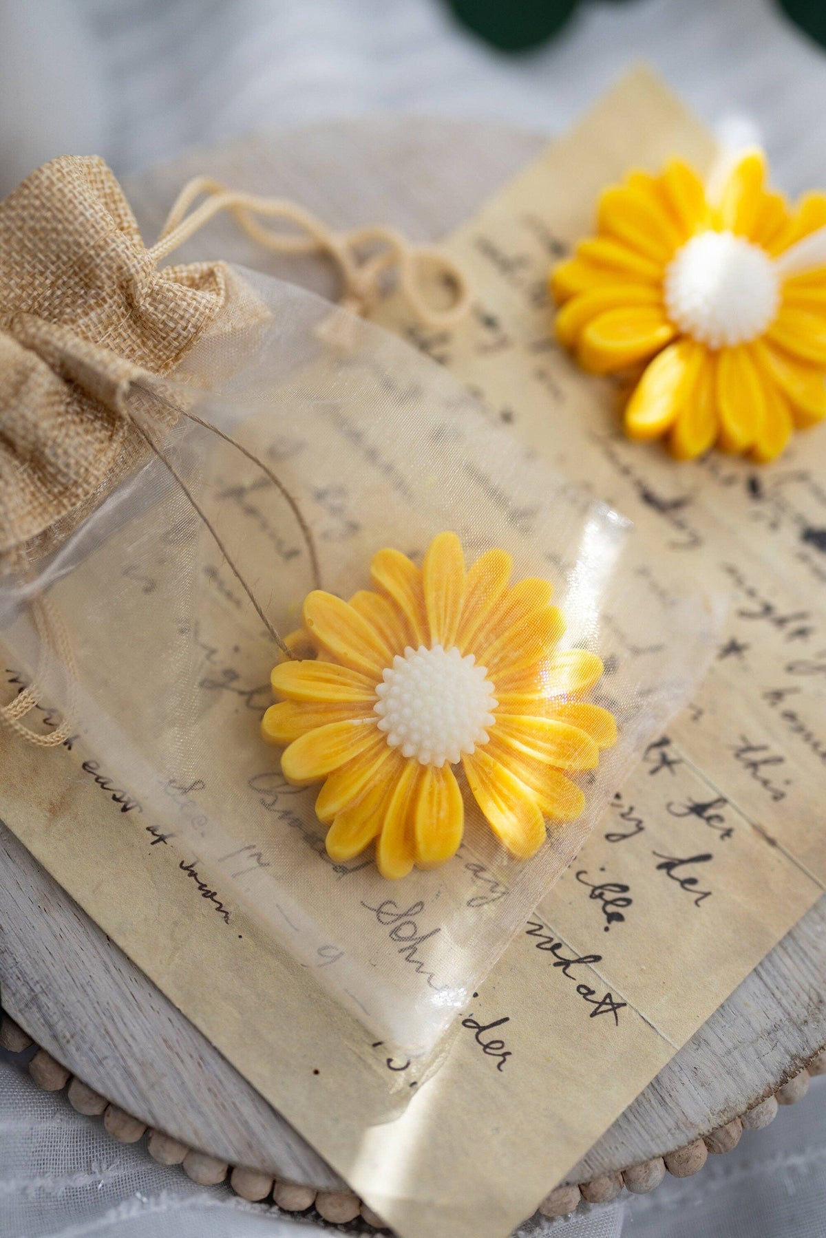 Beautiful Spring Daisy Soy Wax Sachet Wax Melt Gift, Rose