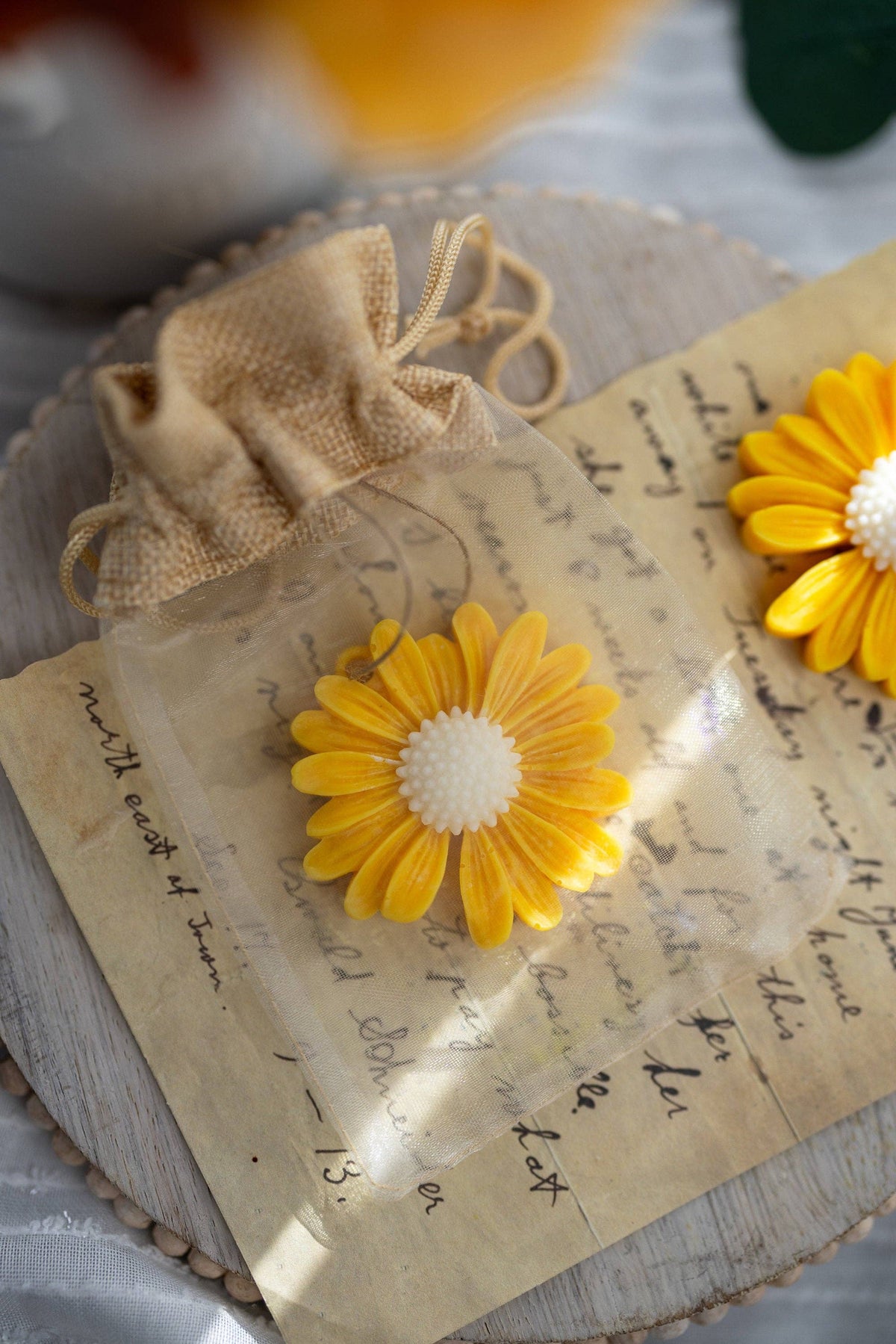 Beautiful Spring Daisy Soy Wax Sachet Wax Melt Gift, Rose